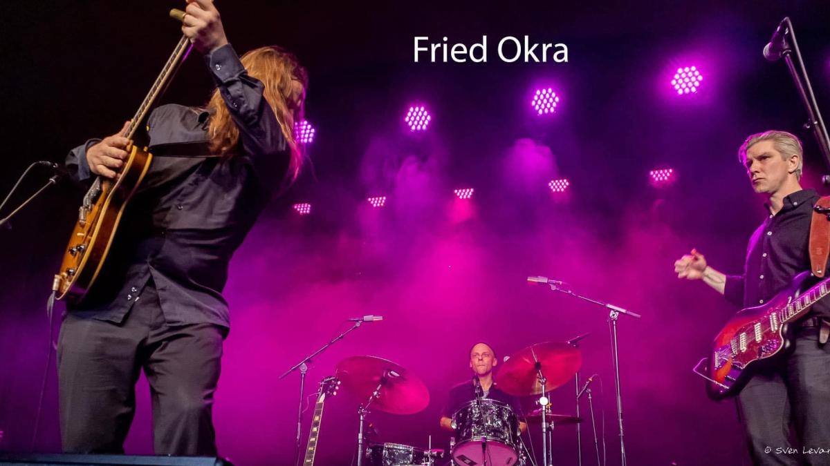 Fried Okra (DK)